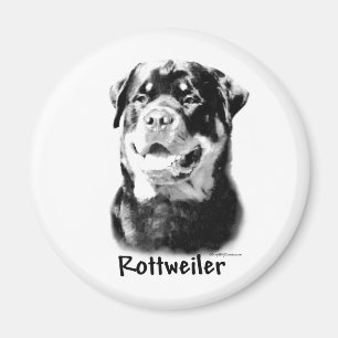 Rottweiler Charcoal - Magnet