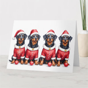 Rottweiler Christmas Dress Santa Hat Card