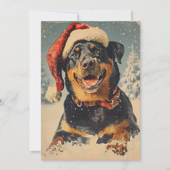 Rottweiler Christmas Holiday Card (Front)