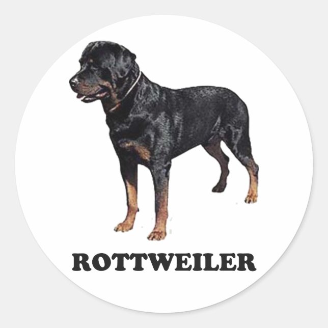 Rottweiler Classic Round Sticker (Front)
