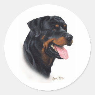 Rottweiler Classic Round Sticker