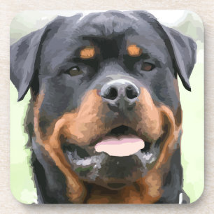 rottweiler coaster
