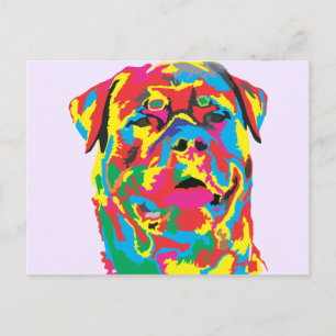 rottweiler colour postcard