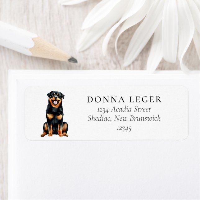 Rottweiler Dog Address (Insitu)