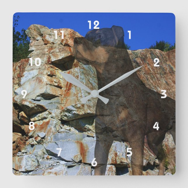 Rottweiler Dog And Rock Wall Cliff Fantasy Square Wall Clock (Front)