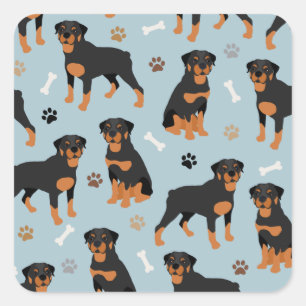 Rottweiler Dog Bones and Paws Square Sticker