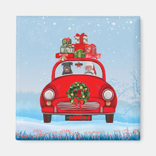 Rottweiler Dog In Car With Santa Claus Magnet