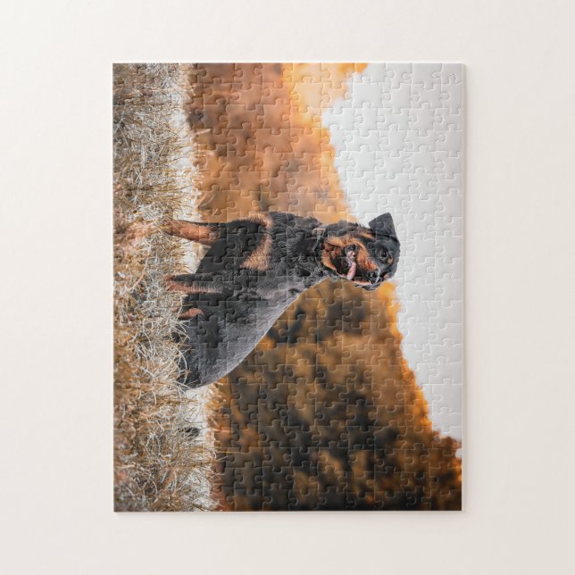 Rottweiler dog jigsaw puzzle (Vertical)