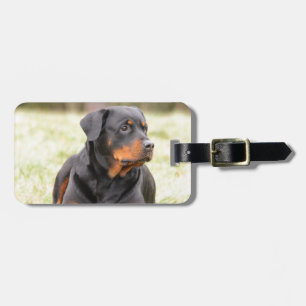 Rottweiler Dog Luggage Tag