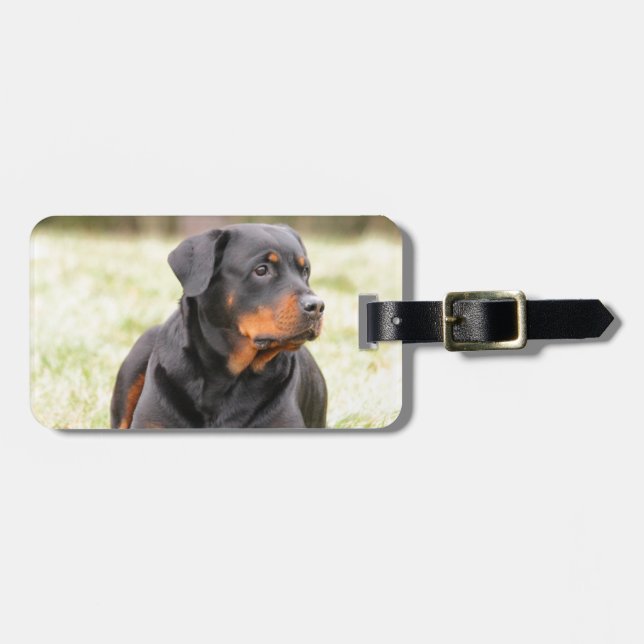 Rottweiler Dog Luggage Tag (Front Horizontal)