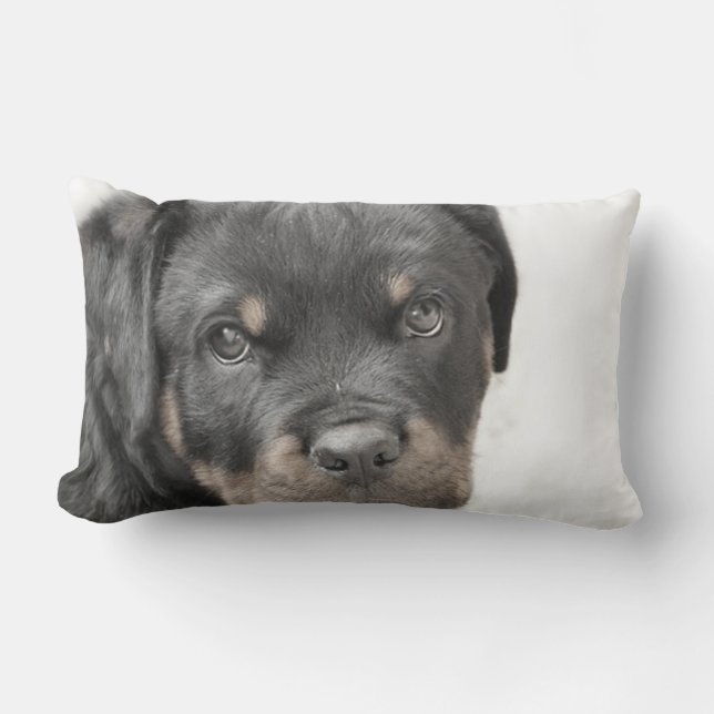 Rottweiler dog lumbar throw pillow (Front)