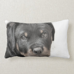 Rottweiler dog lumbar throw pillow