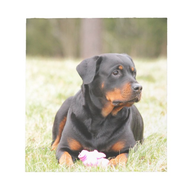 Rottweiler Dog Notepad (Front)