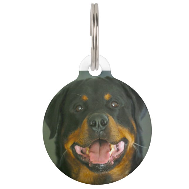 Rottweiler Dog. Pet Tag (Front)