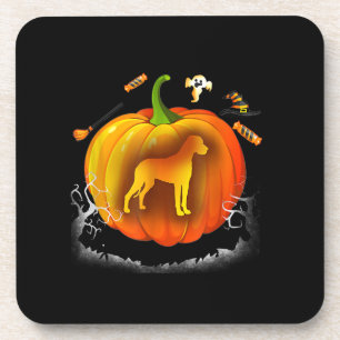 rottweiler dog pumpkin costume halloween coaster