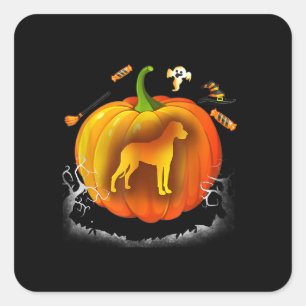 rottweiler dog pumpkin costume halloween square sticker