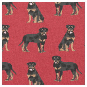 rottweiler dog red fabric