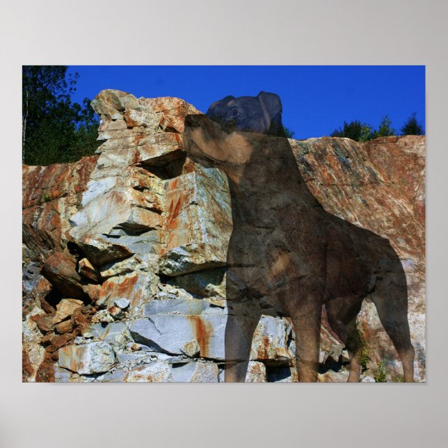 Rottweiler Dog Stone Cliff Wall Fantasy Art  Poster (Front)