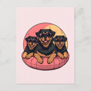 Rottweiler Dogs Summer Pool Floaties Postcard