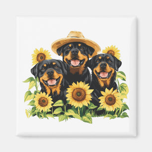 Rottweiler Dogs Surrounded By Sunflowers Magnet