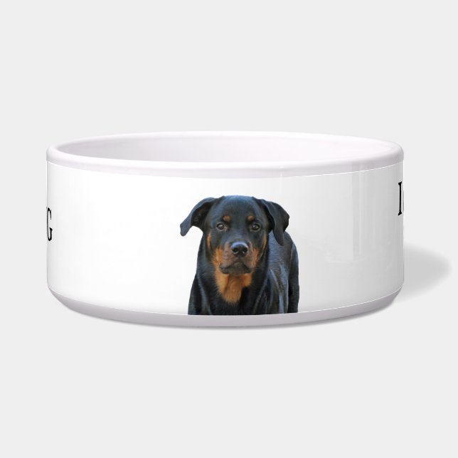 Rottweiler Drool Warning Dog Bowl (Front)