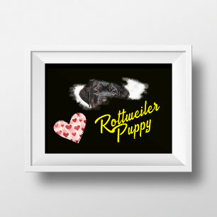 Rottweiler Eyes Solid Colour Poster