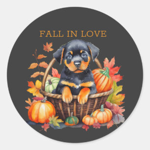 Rottweiler Fall In Love Classic Round Sticker