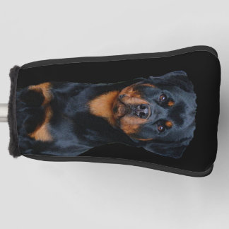 Rottweiler  golf head cover