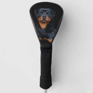 Rottweiler  golf head cover