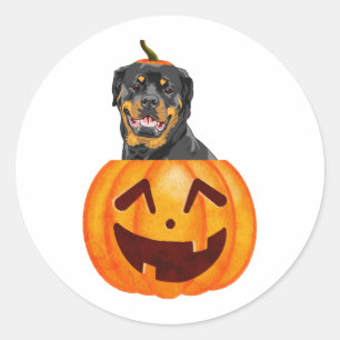 Rottweiler Halloween Classic Round Sticker