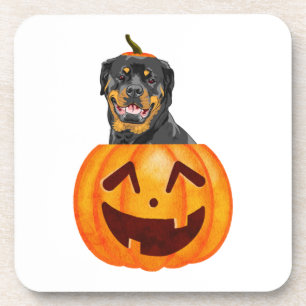 Rottweiler Halloween Coaster