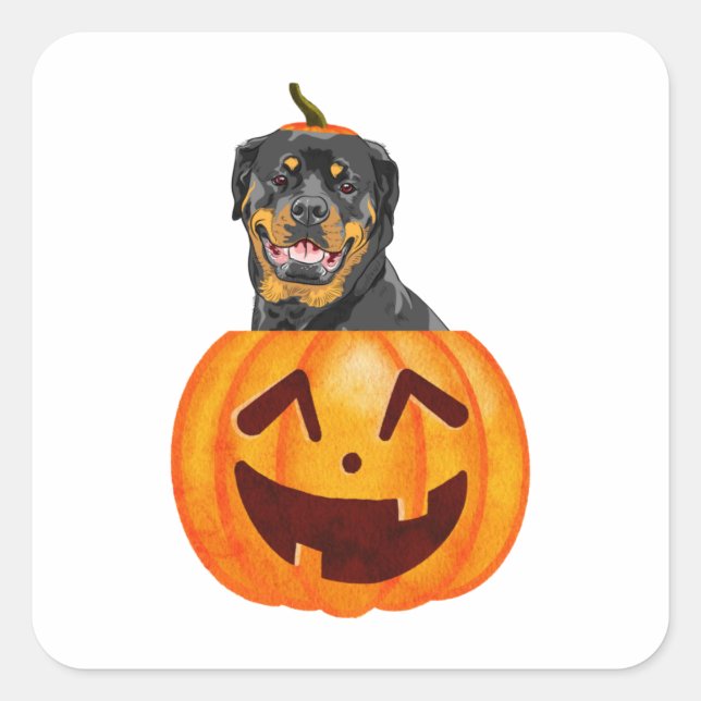Rottweiler Halloween    Square Sticker (Front)