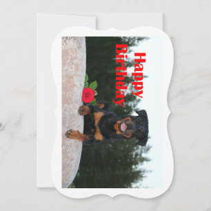 rottweiler happy birthday