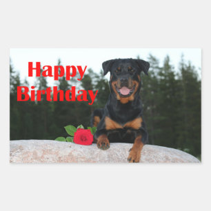 rottweiler happy birthday rectangular sticker