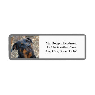 Rottweiler Head Tilt Cutness Return Address Labels