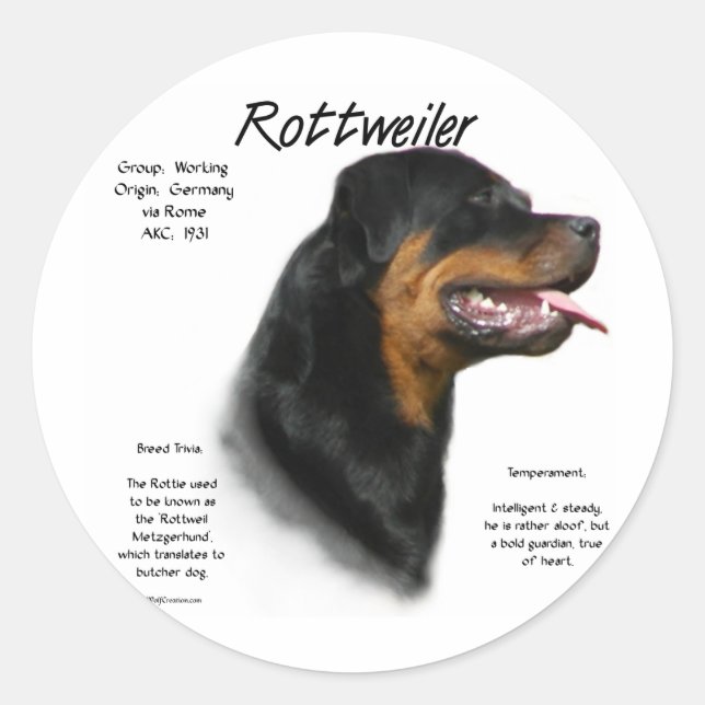 Rottweiler History Design Classic Round Sticker (Front)