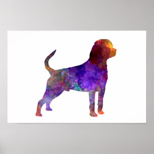 Rottweiler in watercolor poster