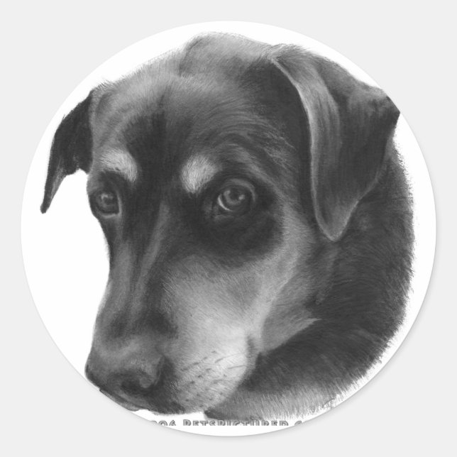 Rottweiler-Lab Mix Classic Round Sticker (Front)