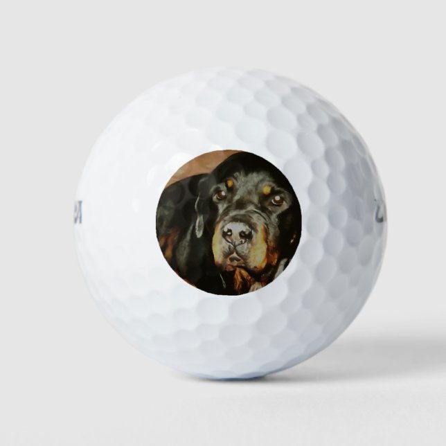 Rottweiler Lover Pet Portrait Golf Balls (Front)