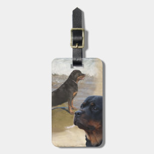Rottweiler Luggage Tag