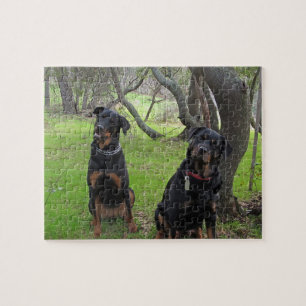 Rottweiler Mother and Daughter Puzzle