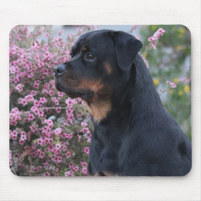 Rottweiler Mouse Pad (Front)