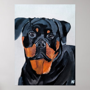 Rottweiler Painting by Alfred Fox Poster