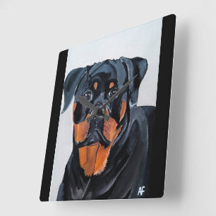 Rottweiler Painting by Alfred Fox Square Wall Clock