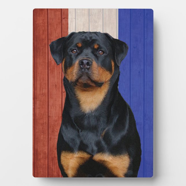 Rottweiler   plaque (Front)