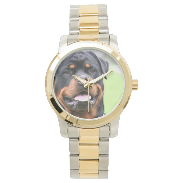 Rottweiler.png Watch (Front)