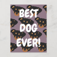 Rottweiler 