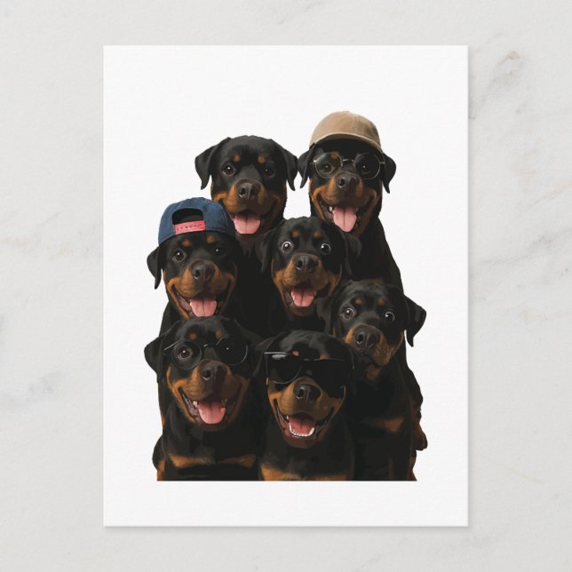 Rottweiler Postcard (Front)
