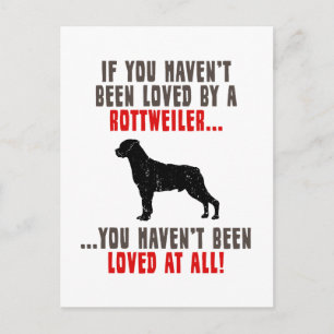 Rottweiler Postcard
