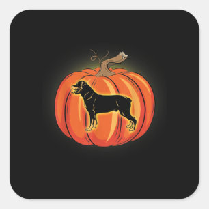 rottweiler pumpkin halloween costume dog lover square sticker